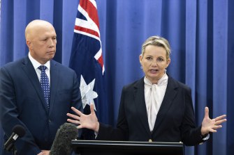 The new Liberal leadership team of Peter Dutton and Sussan Ley address the media.