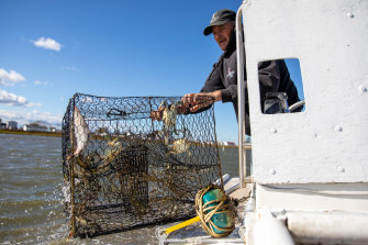 James “Ooker” Eskridge takes in a crab trap.