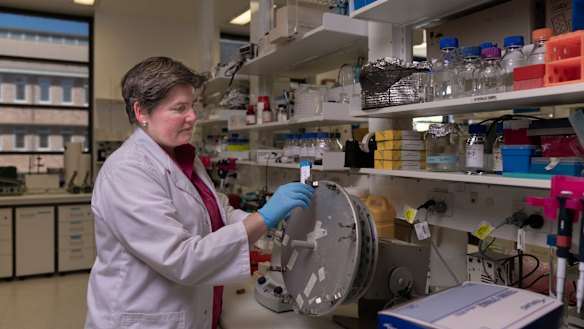 Professor Elizabeth Gardiner at the John Curtin School of Medical Reseach at Australian National University. 