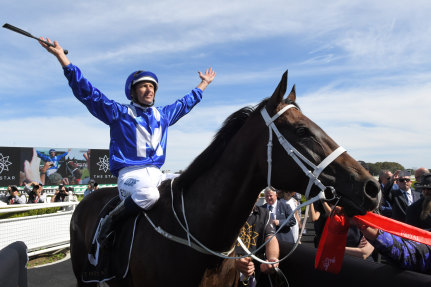 FInal farewell: Winx is ready for the Queen Elizabeths Stakes at Randwick on Saturday.