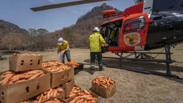 A National Parks and Wildlife Service helicopter prepares for the food drop.
