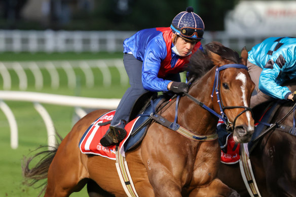 Zaaki runs in Saturday’s Mackinnon Stakes as a $2.45 favourite.