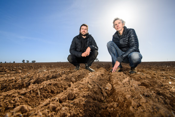 PhD student Finn Parker and conservation biologist Professor Peter Banks at the site of their trial.