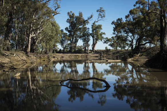 Traditional owners have criticised the Victorian government’s decision to grant 2 gigalitres of water to Goulburn Murray farmers and called  for an urgent review. 