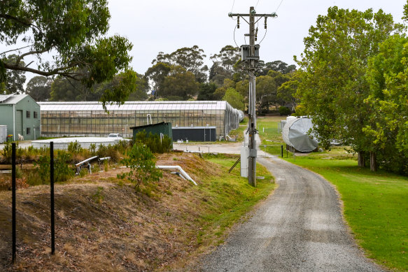 The driveway of the sedate property in Officer that once housed the medicinal marijuana dreams of Rich Lister Russell ‘Ty’ Wilson. 