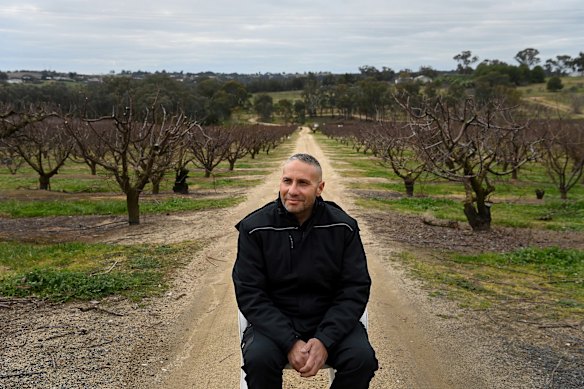 Second generation farmer Bassam Ali, 52, is following in his father’s footsteps working the family cherry orchard in Young, NSW.