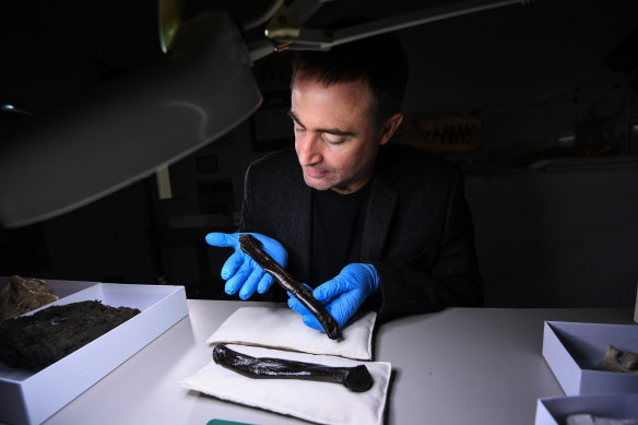 Palaeontologist at the Melbourne Museum, Dr Erich Fitzgerald with some of the Triceratops bones.