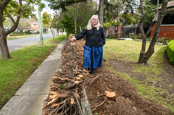 Mont Albert resident Sigrid Ganeson reluctantly chopped down the cypress hedge on her property following a council ultimatum.