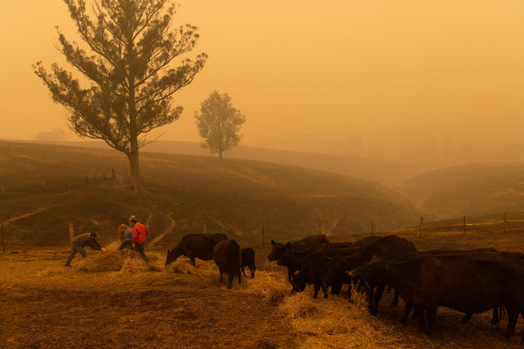 The Evans family count the cost of the fires near Cobargo, where they managed to save their property.