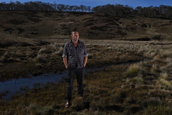 Indigenous Snowy Mountains guide Richard Swain has faced racist abuse and harassment for his stance on feral horses. Swain is pictured on Long Plain where he says trampling by horses has damaged the creeks and threatened the habitat of the native Broad-Tooth Rat.