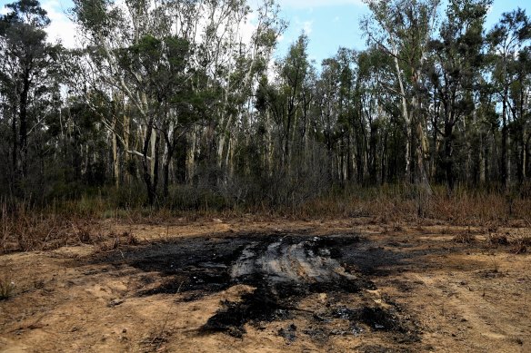 Scorched ground where police found Dayna Isaac’s burnt-out car on Monday. 