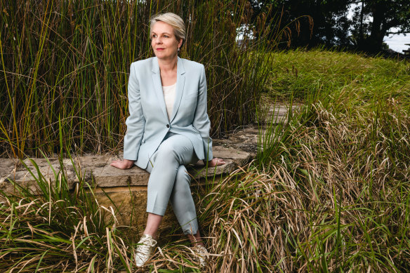 Tanya Plibersek flies to Montreal this week to push for greater efforts to protect biodiversity.
