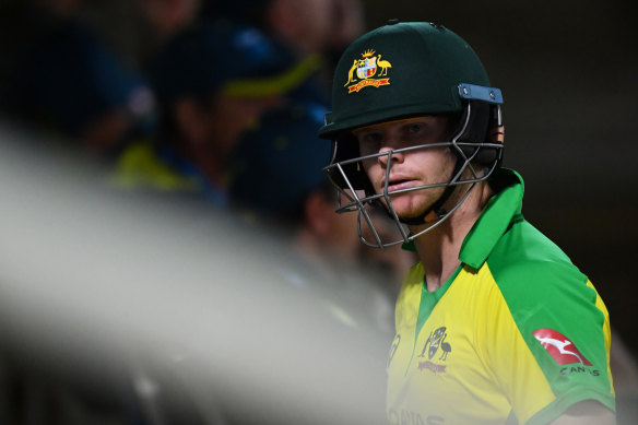 Test stars like Steve Smith can expect to play plenty of Twenty20 this year leading into the Ashes.