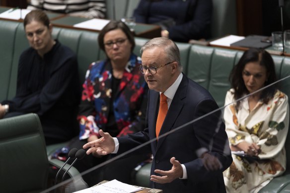 Prime Minister Anthony Albanese speaking in parliament earlier today. 