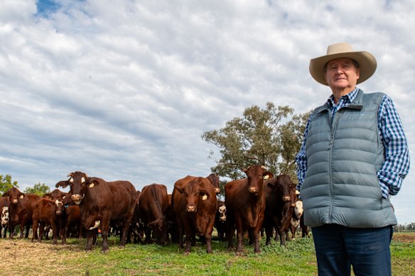 Australian cattle farmer Jim Walker is worried about biosecurity if US beef is imported.