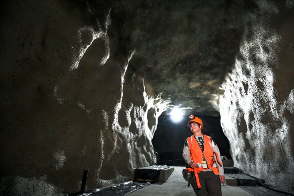 Professor Elisabetta Barberio stands inside the underground lab.