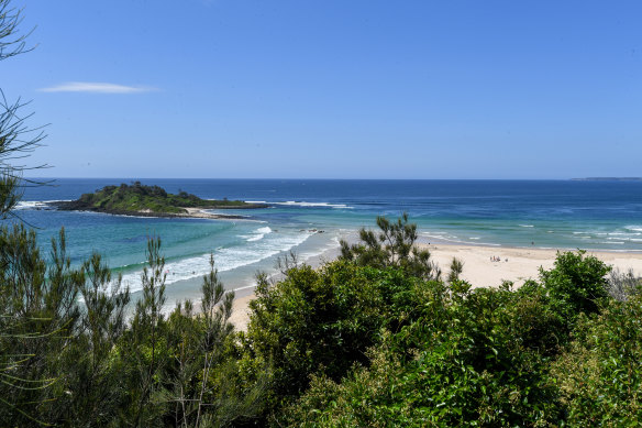 Don Hearn’s Cabins are built near Green Island, a rare left break for surfers on the east coast.