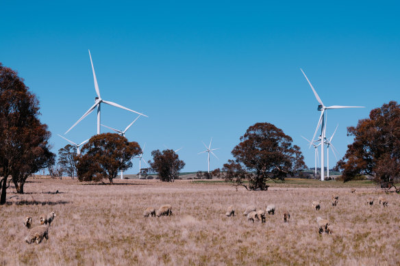 The state government says it is decarbonising the electricity grid so that as households electrify, they are relying on renewable energy, such as that produced by this wind farm near Canberra.