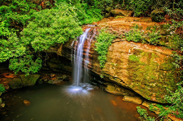 How’s the serenity at Serenity Falls in the Sunshine Coast hinterland of Queensland?
