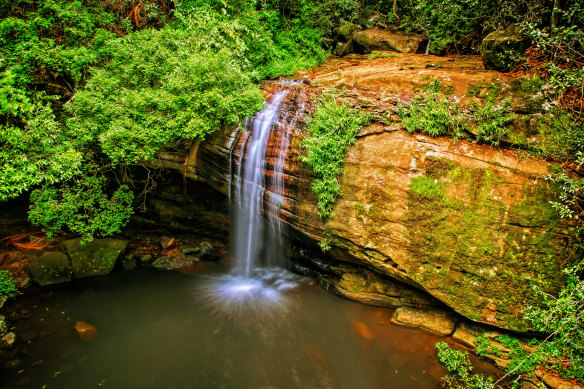 Serenity Falls in the Sunshine Coast hinterland.