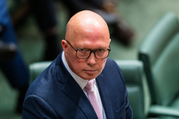 Opposition Leader Peter Dutton has argued for forced divestiture of stores for anti-competitive behaviour.