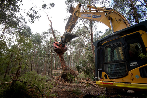 Workers on animal rescuer Manfred Zabinskas’ property clean up after last week’s storm.