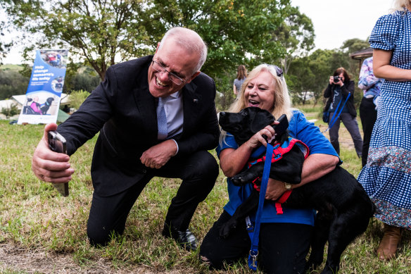 The prime minister ... chasing selfies with assistance dogs in western Sydney.
