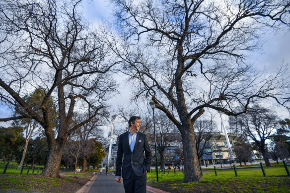 Melbourne City Councillor Nick Reece at the MCG with some of the 130-year-old elms set to be added to the city's Exceptional Tree Register.