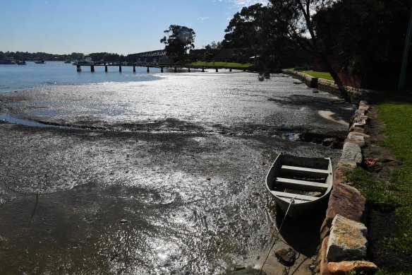 Estuaries along the NSW coast are warming much faster than the air and ocean, and turning more acidic, a new study has found.