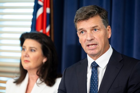 Shadow treasurer Angus Taylor and Coalition finance spokeswoman Jane Hume.