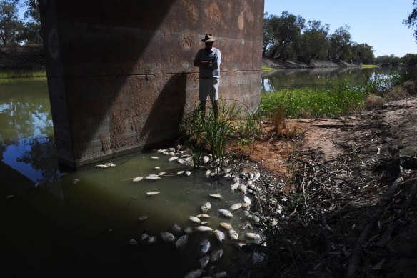 Rob McBride in front of fish carcasses at Menindee left from the giant fish kill in January 2019.