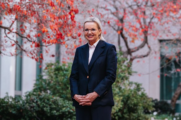 Liberal leader Sussan Ley: “We did let women down, there’s no doubt about that.”