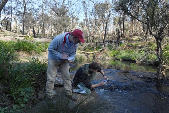 Western Sydney University scientist Ian Wright and student Callum Fleming take samples from Teatree Hollow as it meets the Bargo River. The creek is used as a water release point from Tahmoor Colliery.