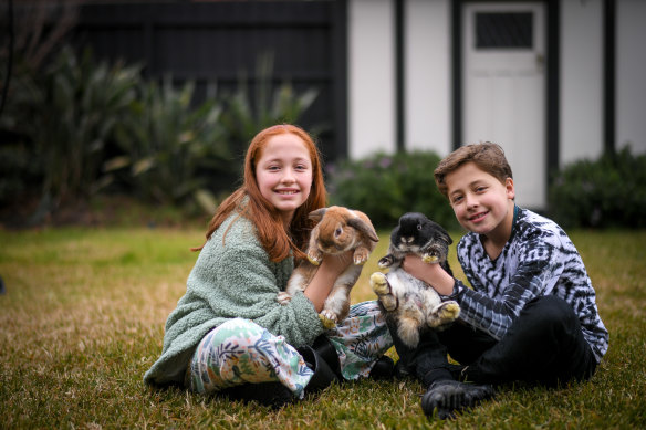 Sienna and Josh Lindeman with their bunnies, Cookie and Bingo.