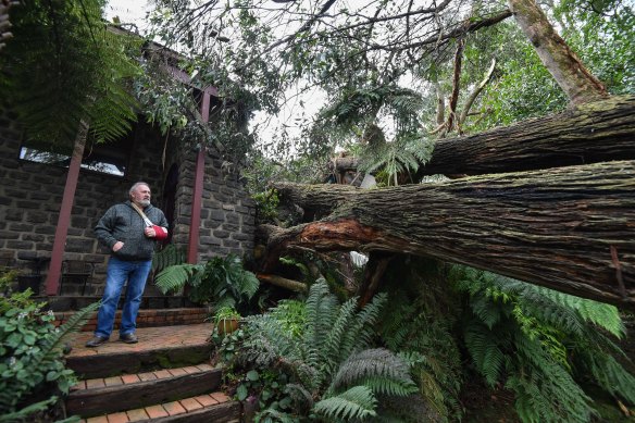 John Carlyle inspects the damage in Kalorama.