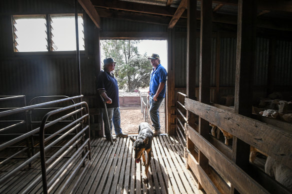 Charlie Hocking hopes to impart some of his experience and wisdom about the farm to Jeremy Collins.