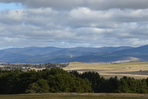 The site of the proposed Wallaroo solar farm beyond the trees is close to existing transmission lines that can carry the power to Canberra.