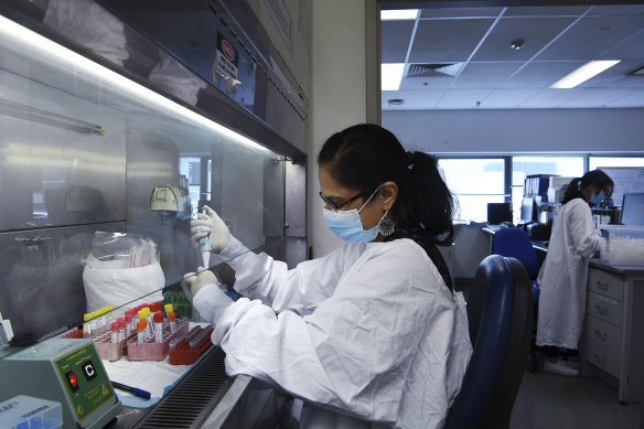 Part of the COVID-19 testing process  at the virology lab at Prince of Wales Hospital.