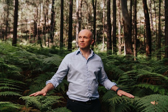 Climate Change Authority chair Matt Kean in Berowra Valley National Park.