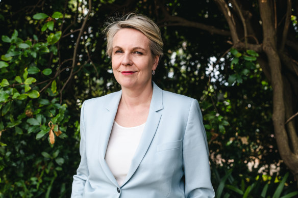 Federal Environment and Water Minister Tanya Plibersek.