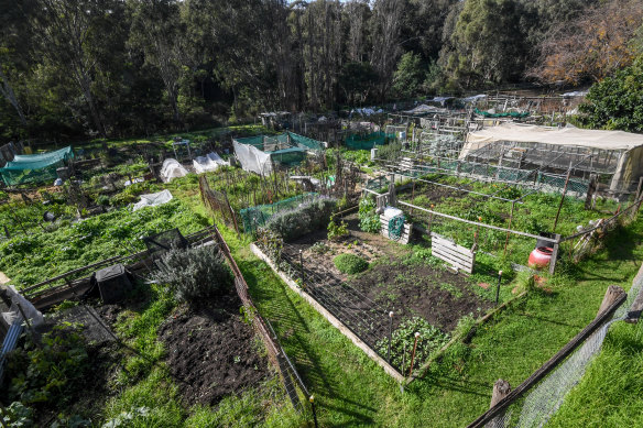 The Collingwood Community Gardens.