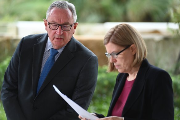 NSW Health Minister Brad Hazzard, left, and Chief Health Officer Kerry Chant, right.