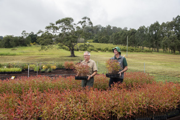 Mark Wilson, nursery manager with Patrick Medley, chairman of the Foundation for National Parks and Wildlife at the Friends of the Koala tree nursery.