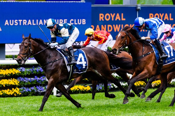 Gringotts is the pick of the bunch in the group 1 Winx Stakes.