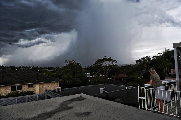 One person has died and two are critically injured after a tree fell down during a storm in Narrabeen.