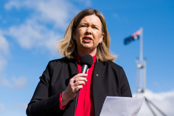 Bridget Archer outside parliament a few months ago, speaking in support of Julian Assange.