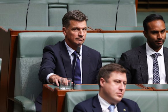 Angus Taylor will challenge for the Liberal leadership.