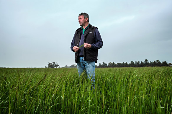 Quambatook grain farmer Brett Hosking has cut his barley production. 