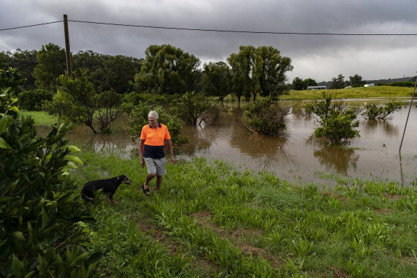 Ken Anderson inspects his citrus orchard at Sackville North with his dog, Spotless.