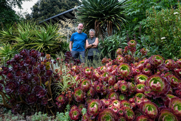 Between them, John and Michelle Rayner spend the equivalent of one full-time position working in their garden